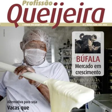 Revista Impressa nº 6