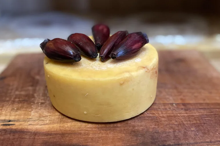 Queijo araucária.
